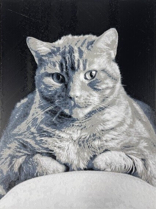 PrintlabEnzo:<br>Waar ideeën vorm krijgen